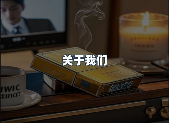 关于我们